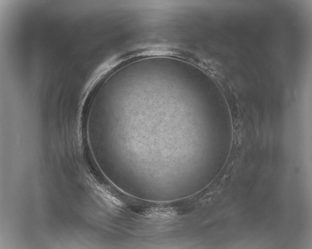 X0000061140296200511181215