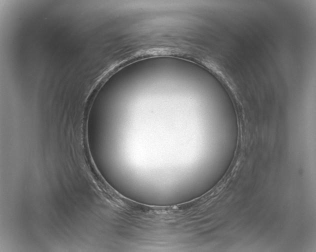 X0000061140297200511181215