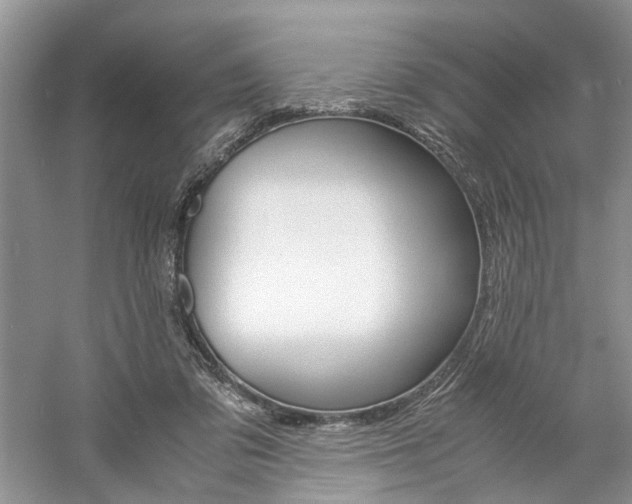 X0000061140309200511181215