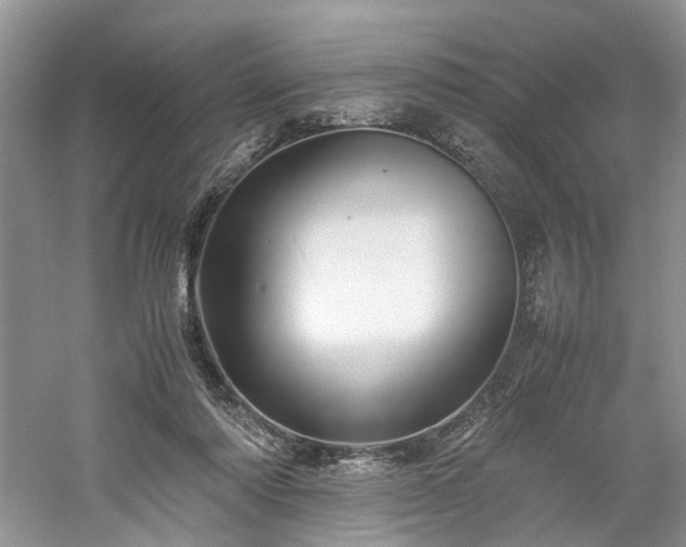 X0000061140310200511181215