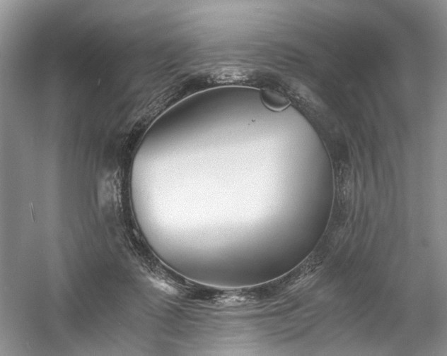 X0000061140315200511181215