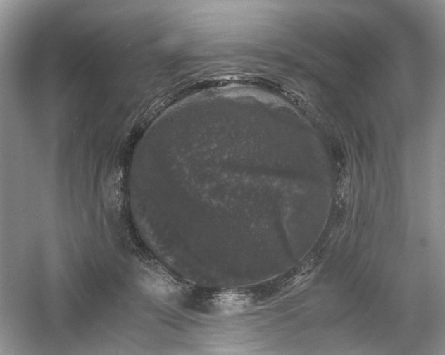 X0000061140319200511181215