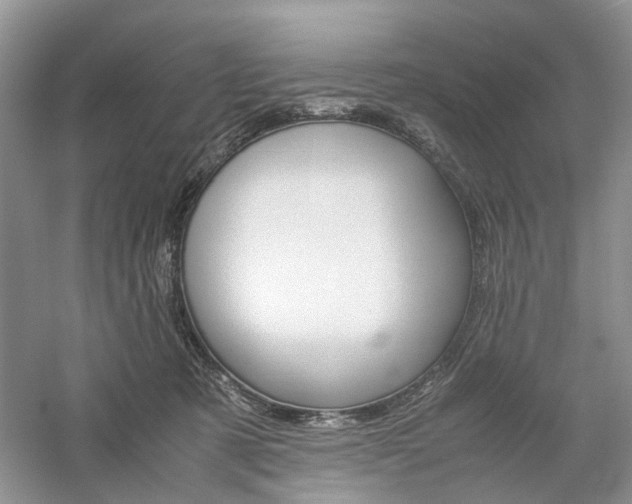 X0000061140321200511181215