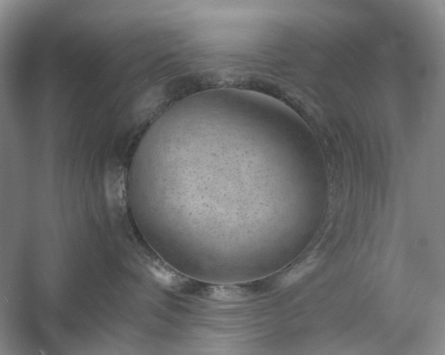 X0000061140336200511181214
