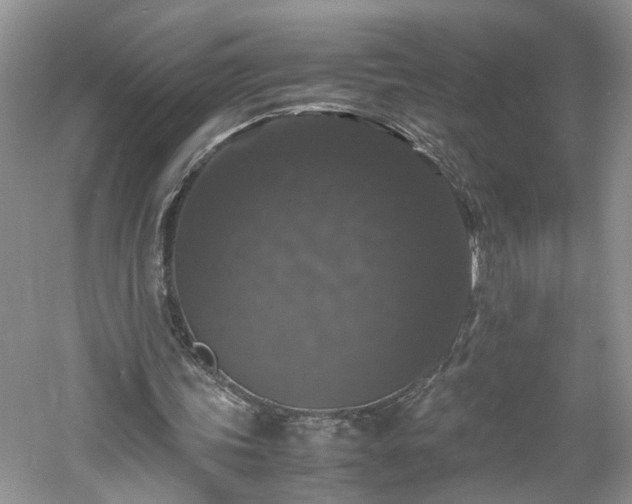 X0000061140339200511181213