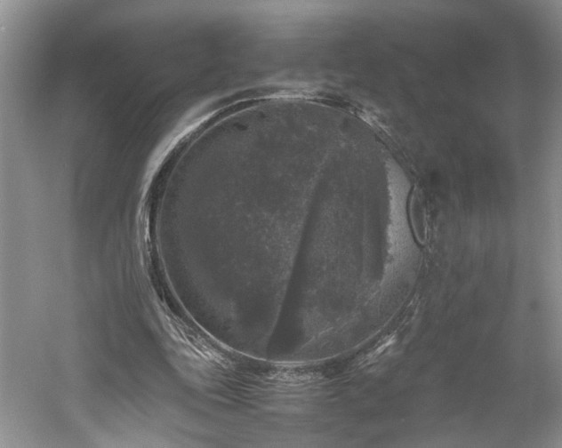 X0000061140343200511181214
