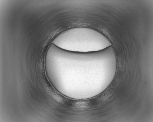 X0000061140357200511181214