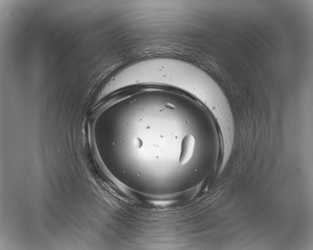 X0000061140360200511181214