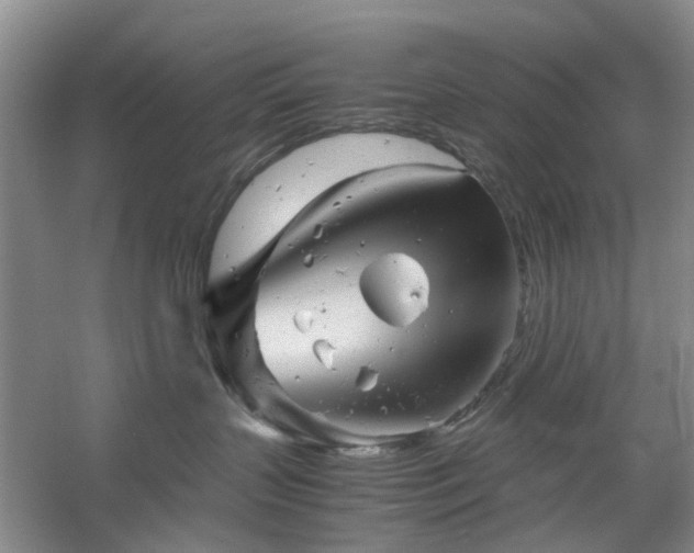 X0000061140383200511181214