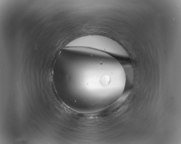 X0000061140384200511181214