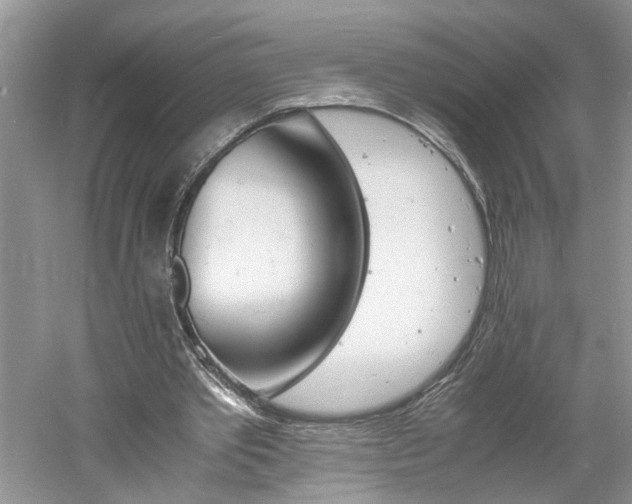 X0000061140389200511181213