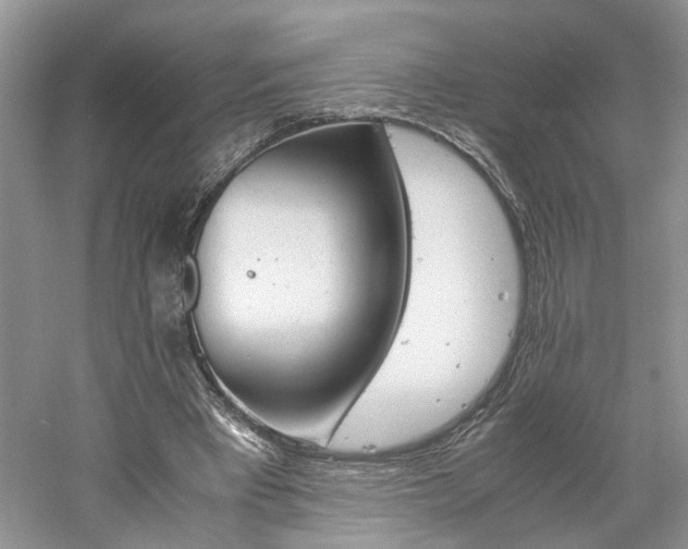 X0000061140393200511181213