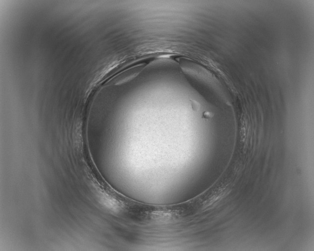 X0000061140394200511181213