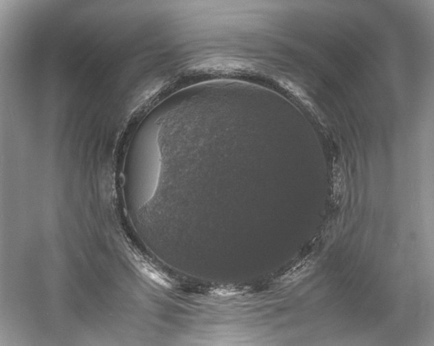 X0000061140399200511181213