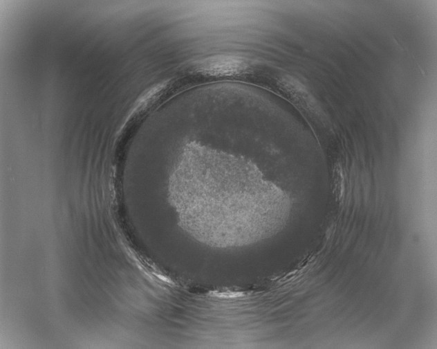 X0000061140400200511181213