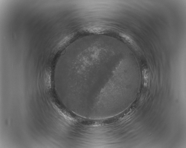 X0000061140404200511181213