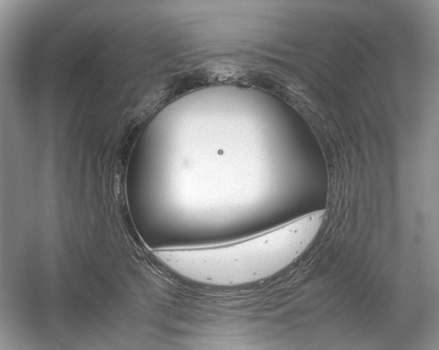 X0000061140417200511181213