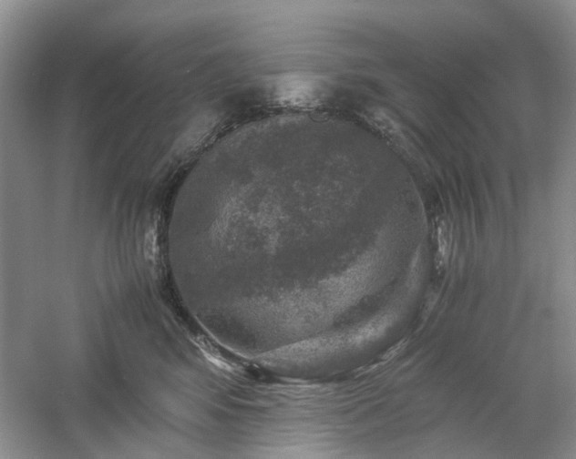 X0000061140424200511181213
