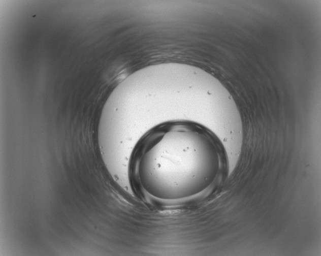 X0000061140428200511181213