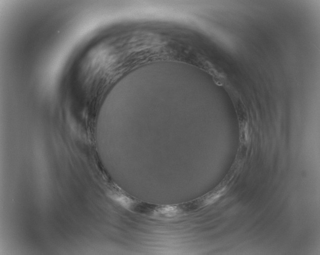 X0000061140431200511181213