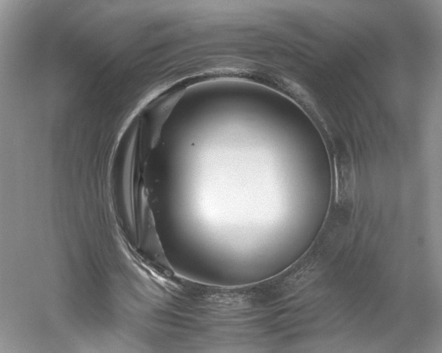 X0000061140435200511181212