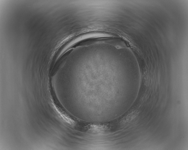 X0000061140442200511181212