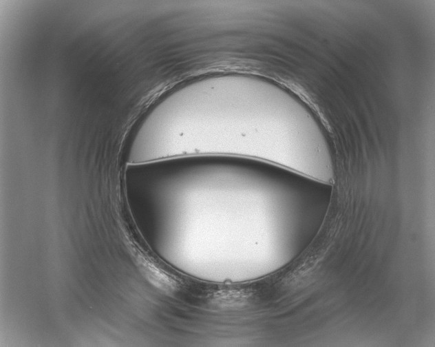 X0000061140445200511181212