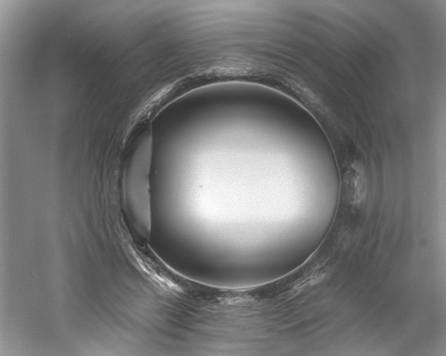 X0000061140446200511181212
