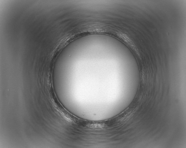 X0000061140449200511181212