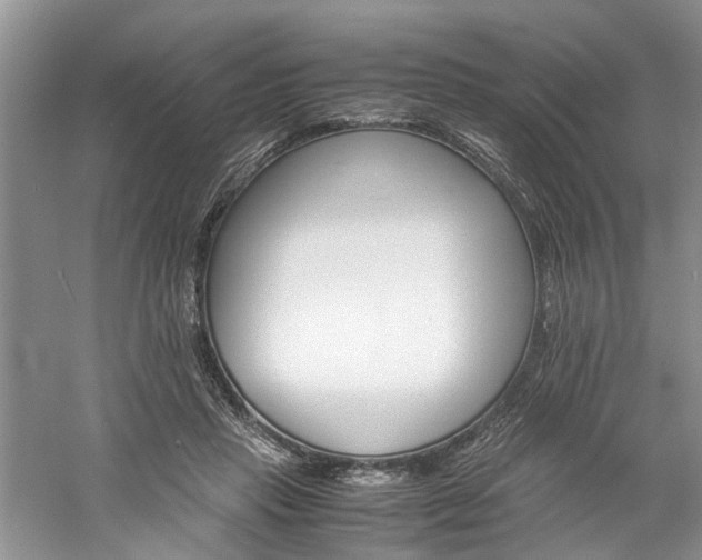 X0000061140453200511181212
