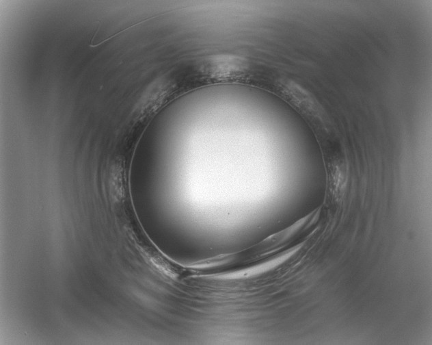 X0000061140470200511181212