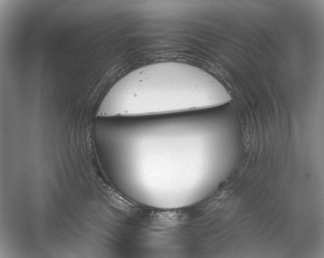 X0000061140473200511181213