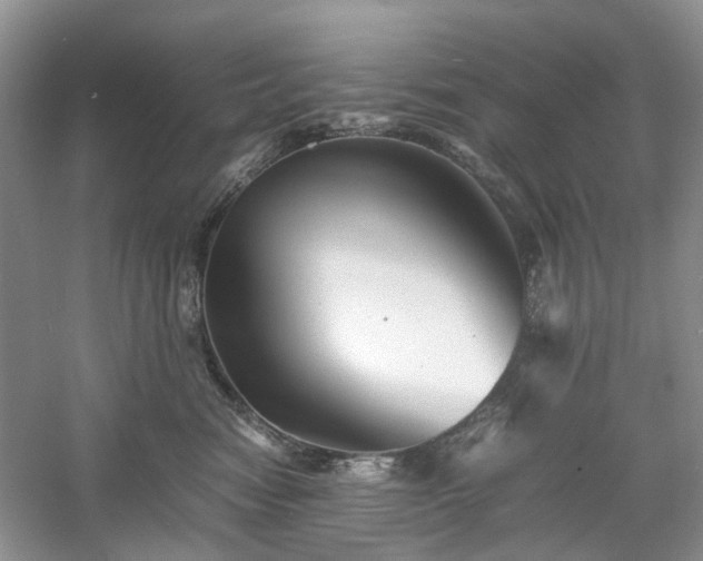 X0000061140474200511181213