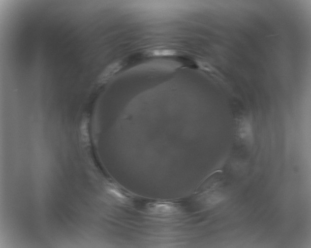 X0000061140475200511181213