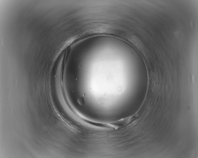 X0000061140482200511181212