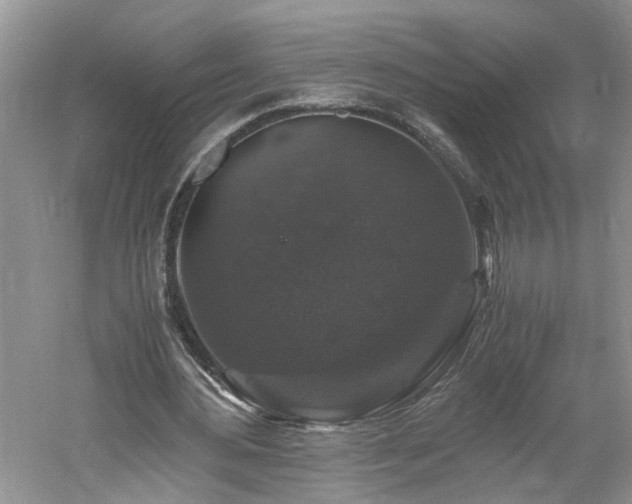 X0000061140484200511181212