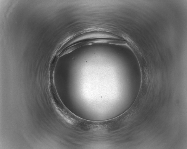 X0000061140486200511181212