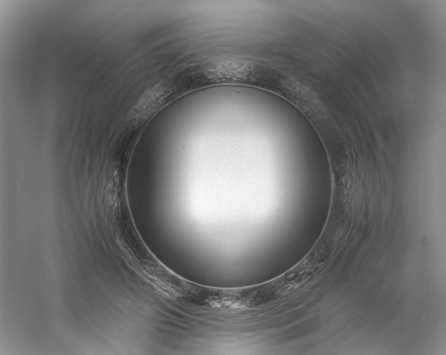 X0000061140498200511181212