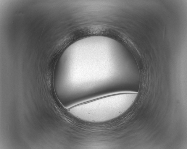 X0000061140505200511181211