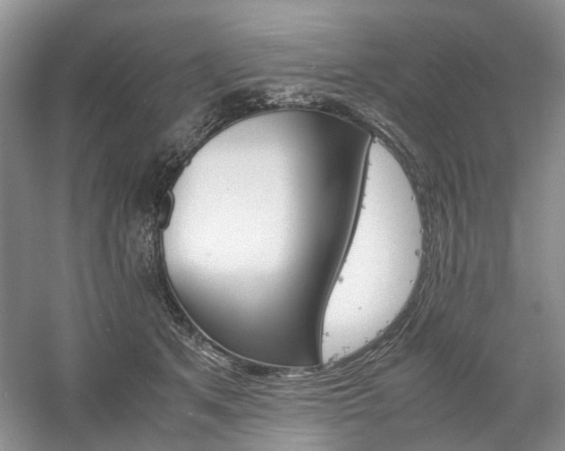 X0000061140513200511181211