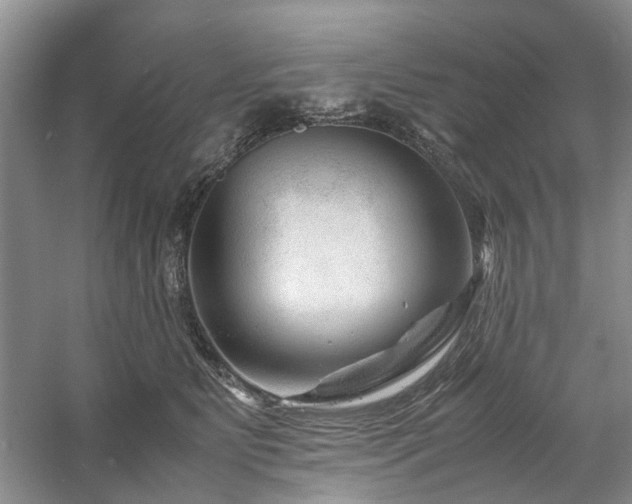 X0000061140515200511181211