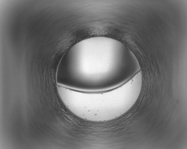 X0000061140517200511181211