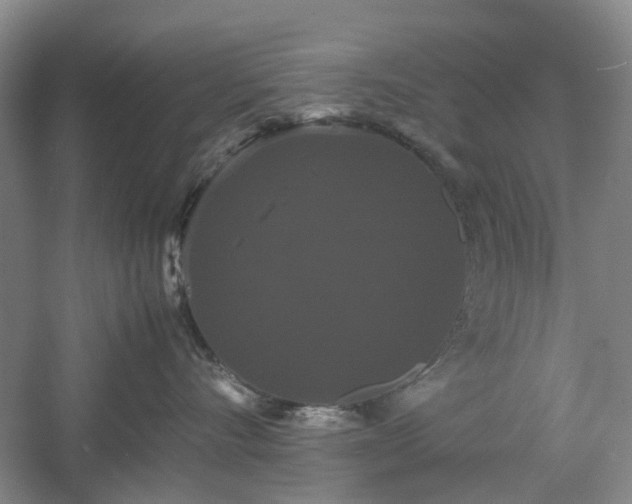 X0000061140528200511181211