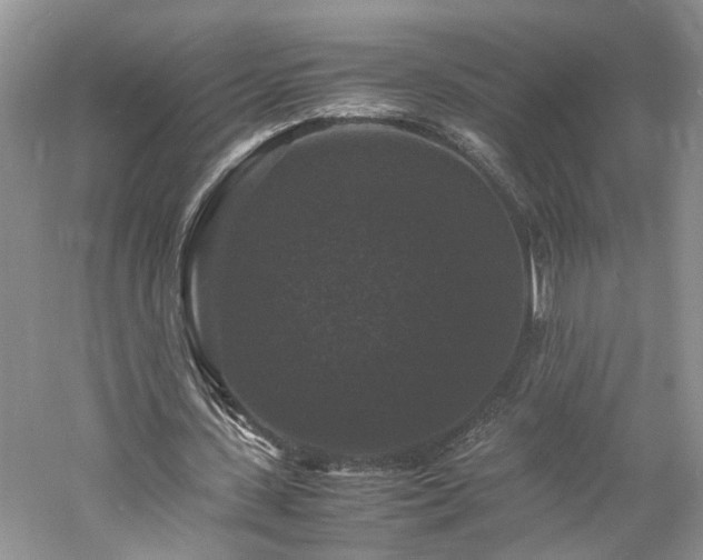 X0000061140531200511181210