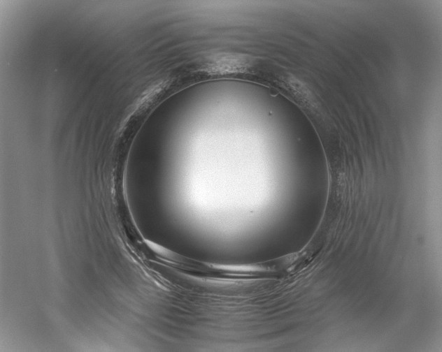X0000061140539200511181210