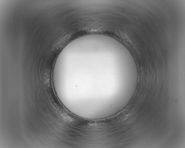 X0000061140545200511181210