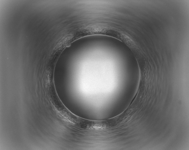 X0000061140546200511181210