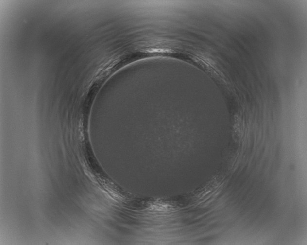 X0000061140547200511181210