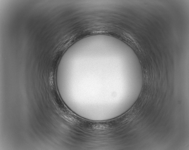 X0000061140549200511181211