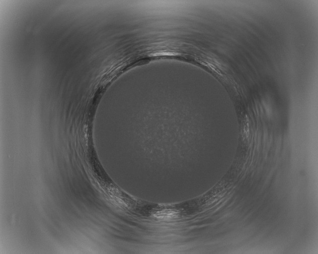 X0000061140551200511181211